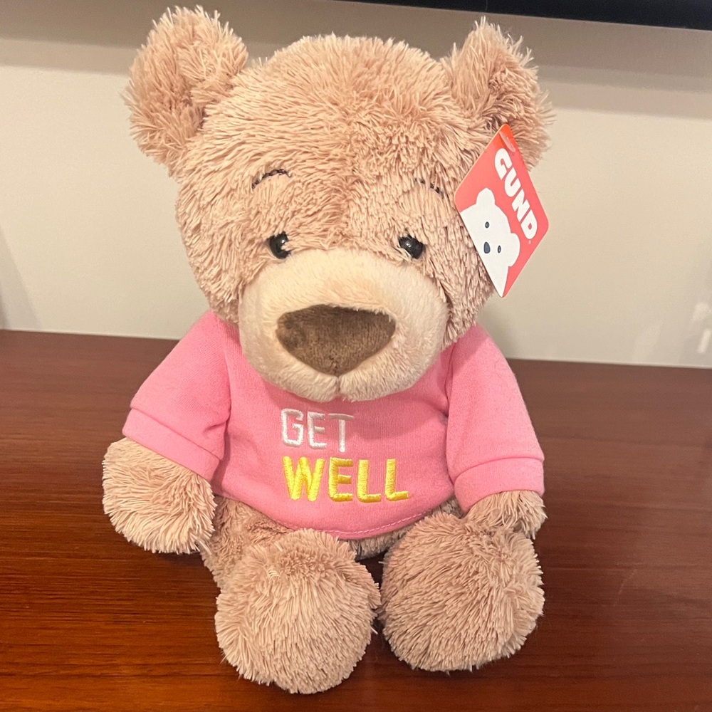 Gund Teddy Bear with Pink Get Well Shirt
